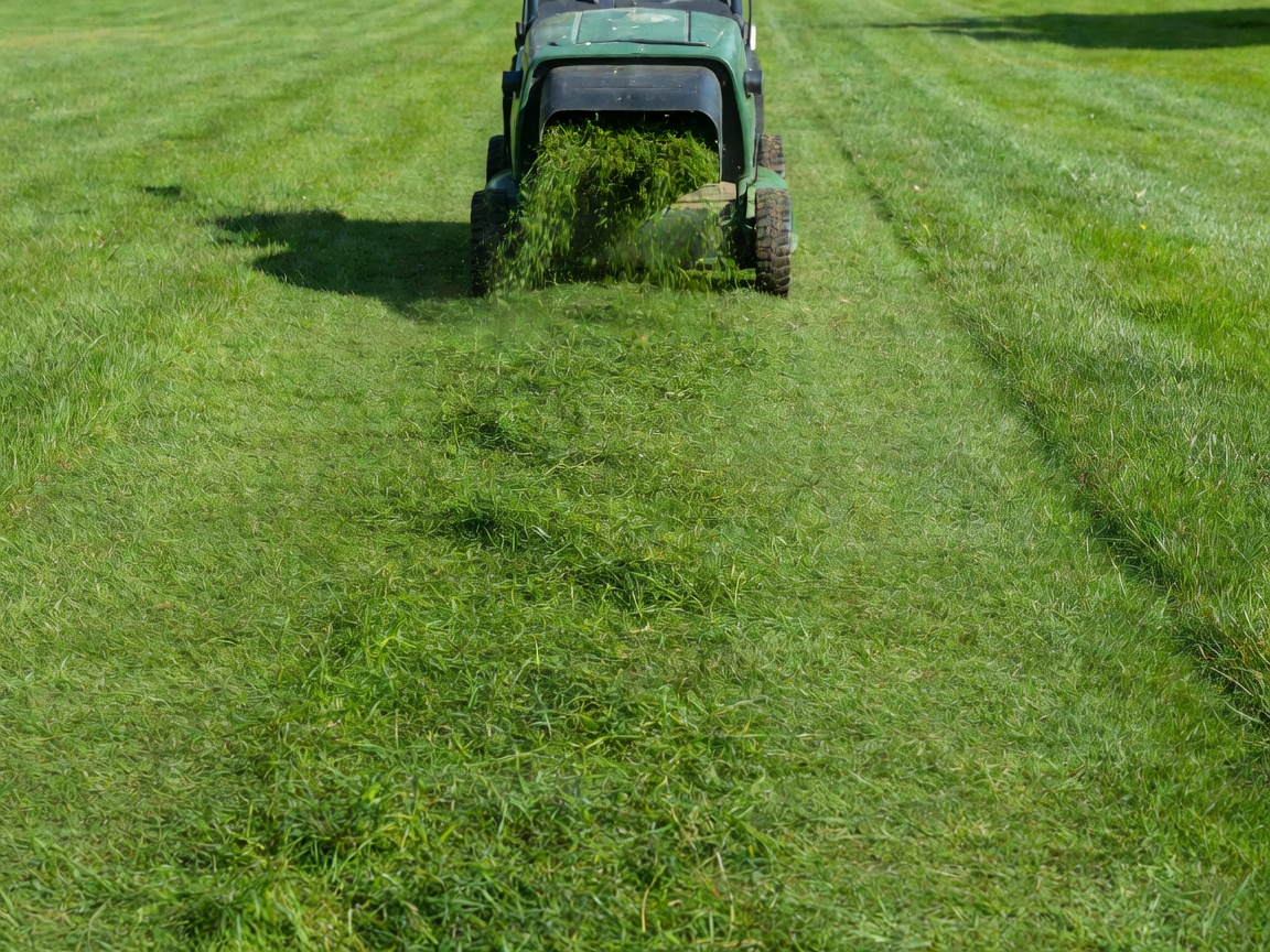 Rear view of a lawn mower machine actively leaving a trail of freshly cut grass, demonstrating the clean result after service
